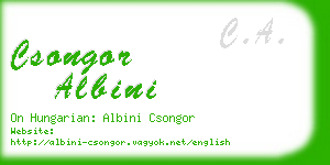 csongor albini business card